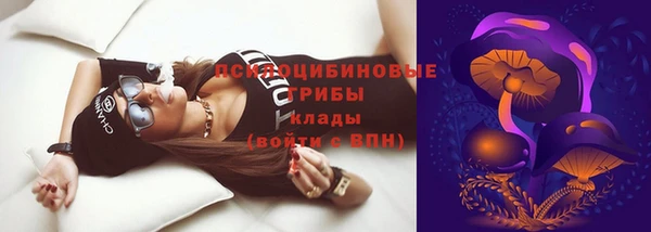 прущие грибы Алексин