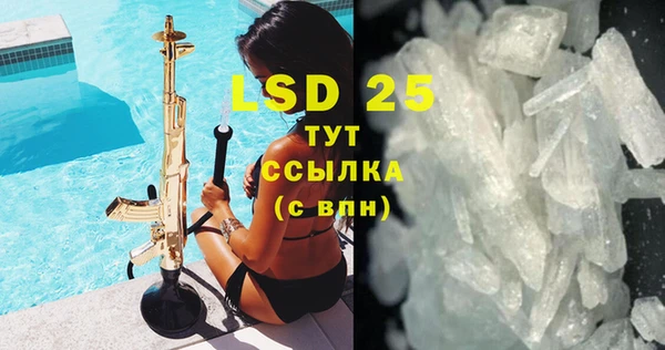 ПСИЛОЦИБИНОВЫЕ ГРИБЫ Алексеевка