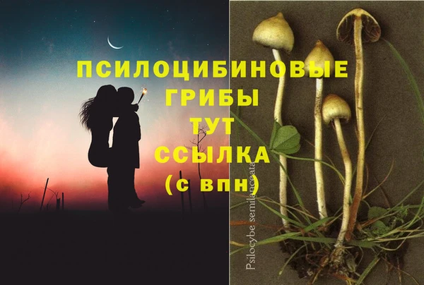 прущие грибы Алексин