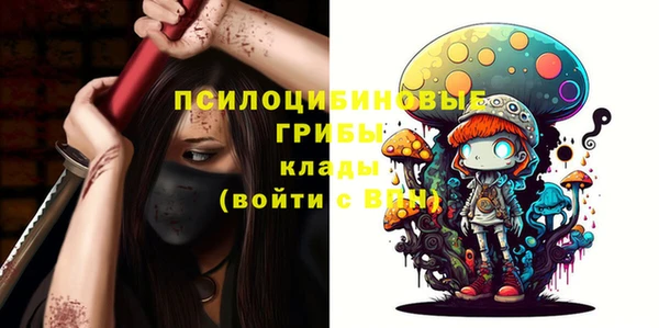 прущие грибы Алексин