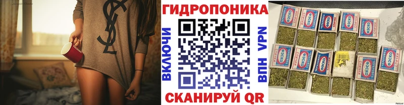 Марихуана конопля блэк спрут вход Кашин
